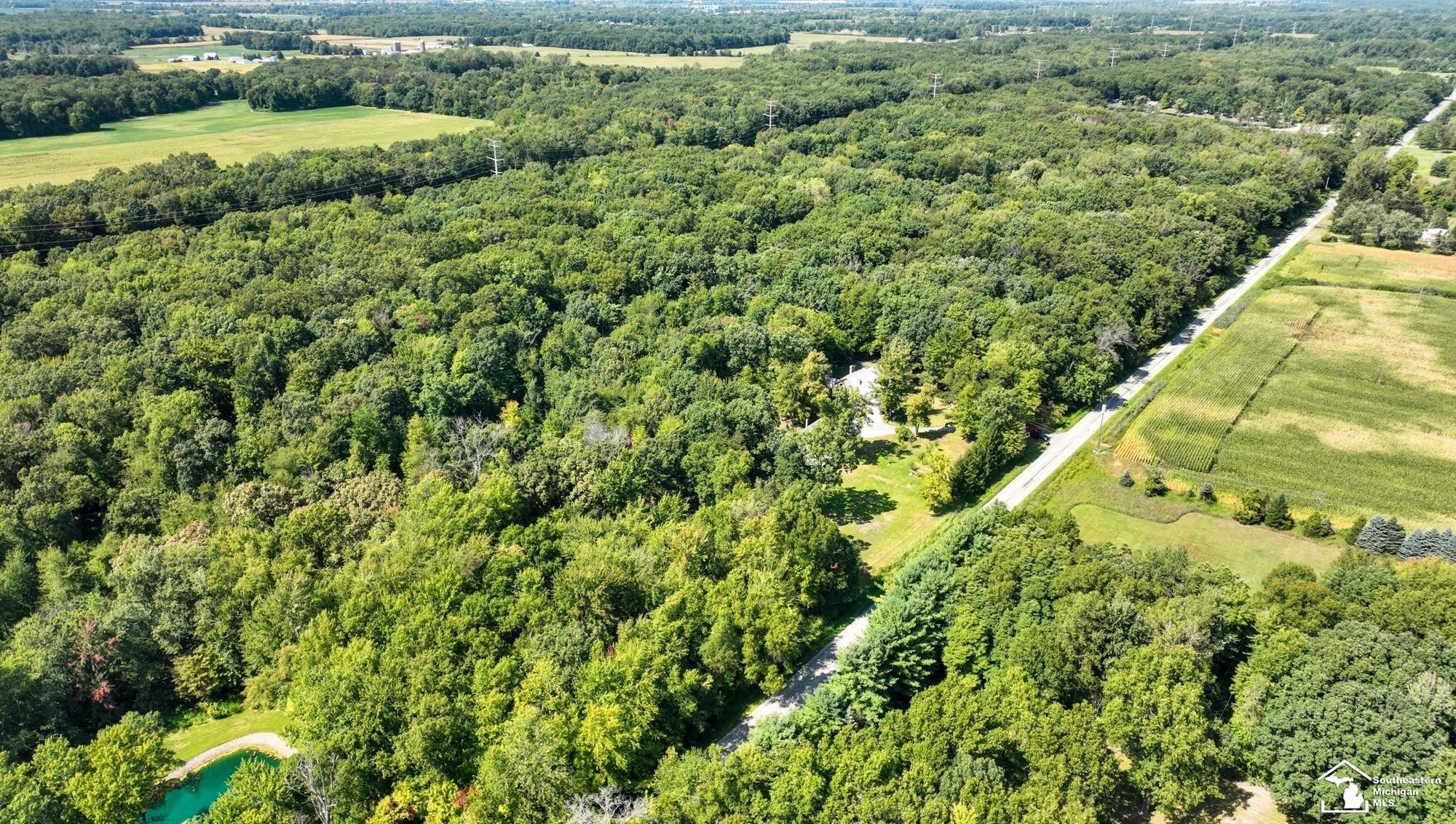 2200 Meanwell Rd Road, Dundee, MI 48131 — Photo 83