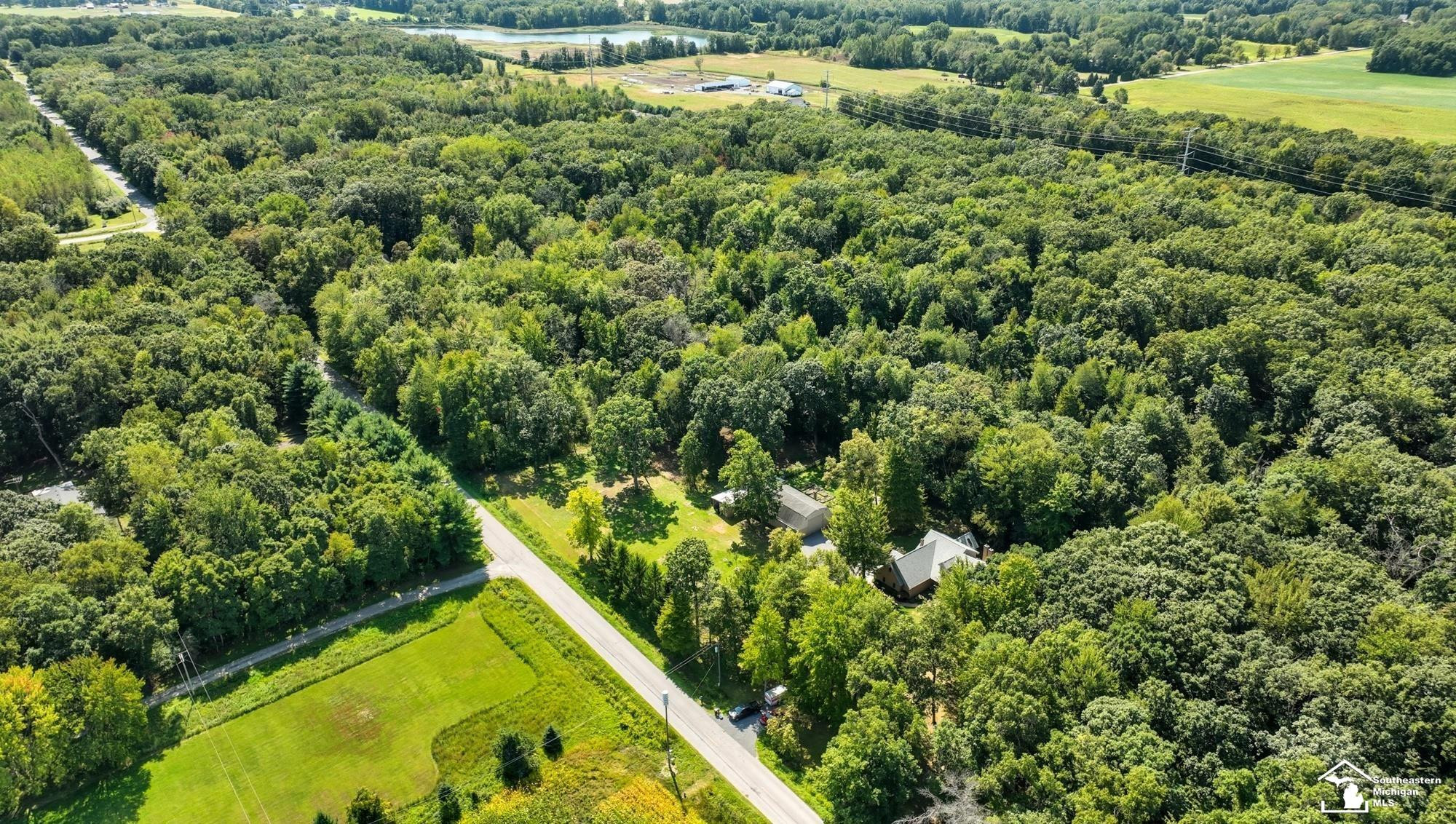 2200 Meanwell Rd Road, Dundee, MI 48131 — Photo 86