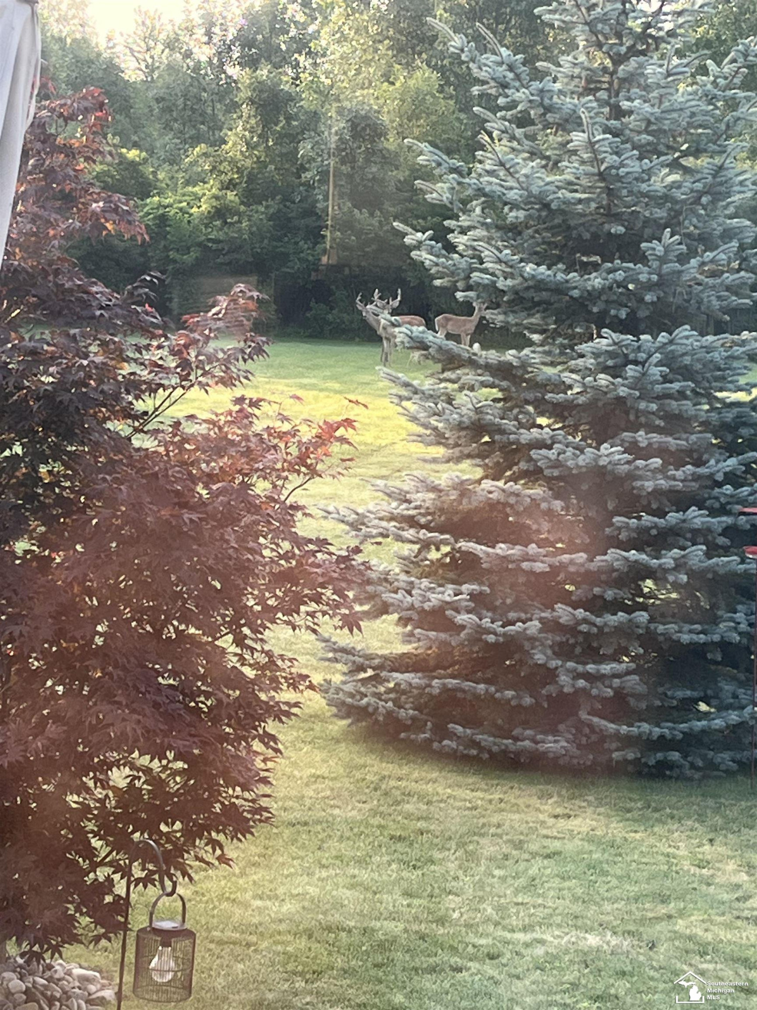 13320 Lighthouse Road, La Salle, MI — Photo 51