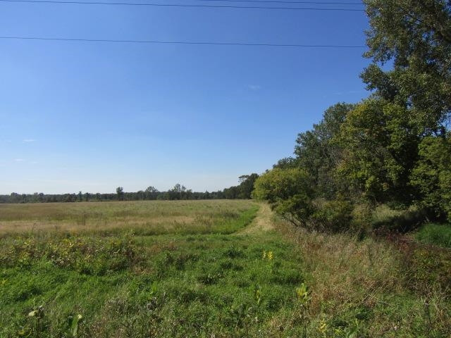 V/L Morrice Rd. Road, Owosso, MI 48867 — front exterior