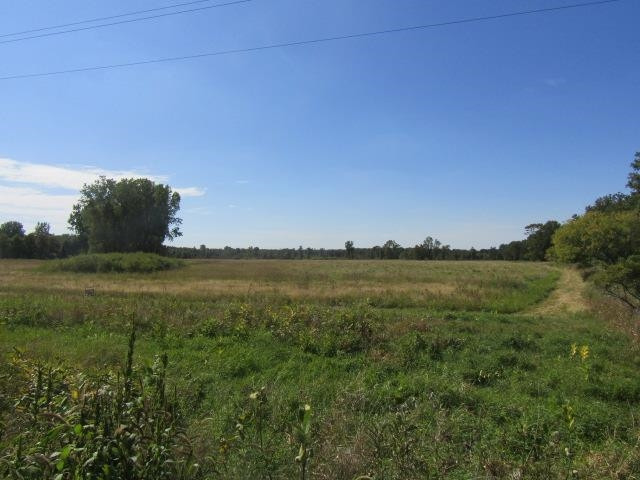 V/L Morrice Rd. Road, Owosso, MI 48867 — Photo 2
