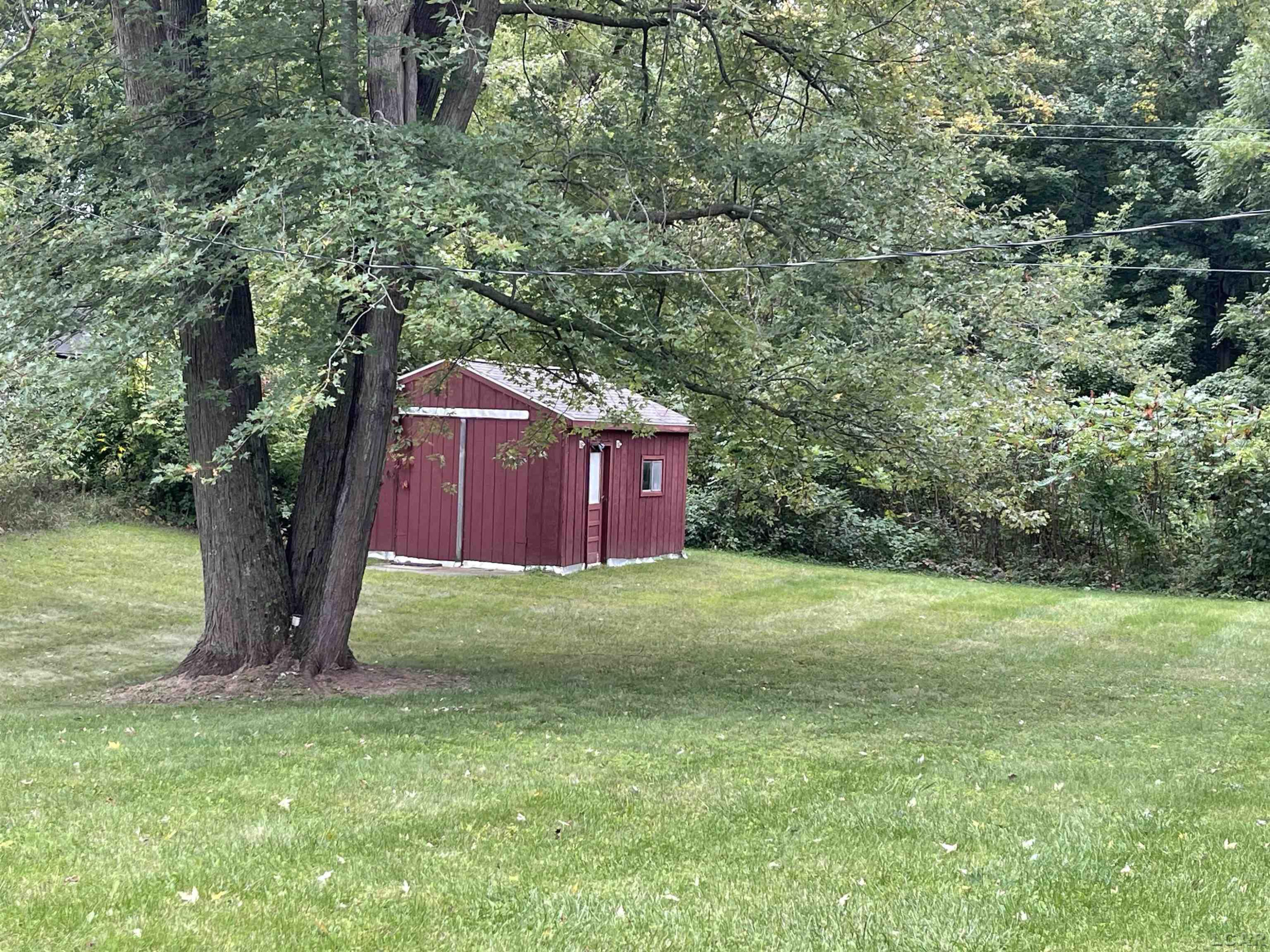 6903 W M 50 Highway, Onsted, MI 49265 — Photo 2