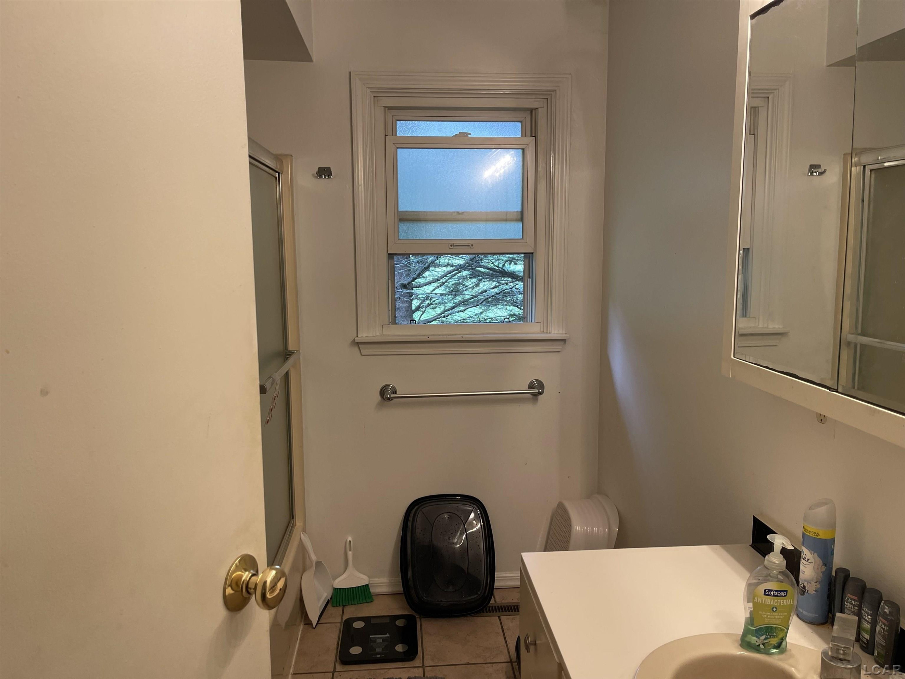 6903 W M 50 Highway, Onsted, MI 49265 — Photo 11