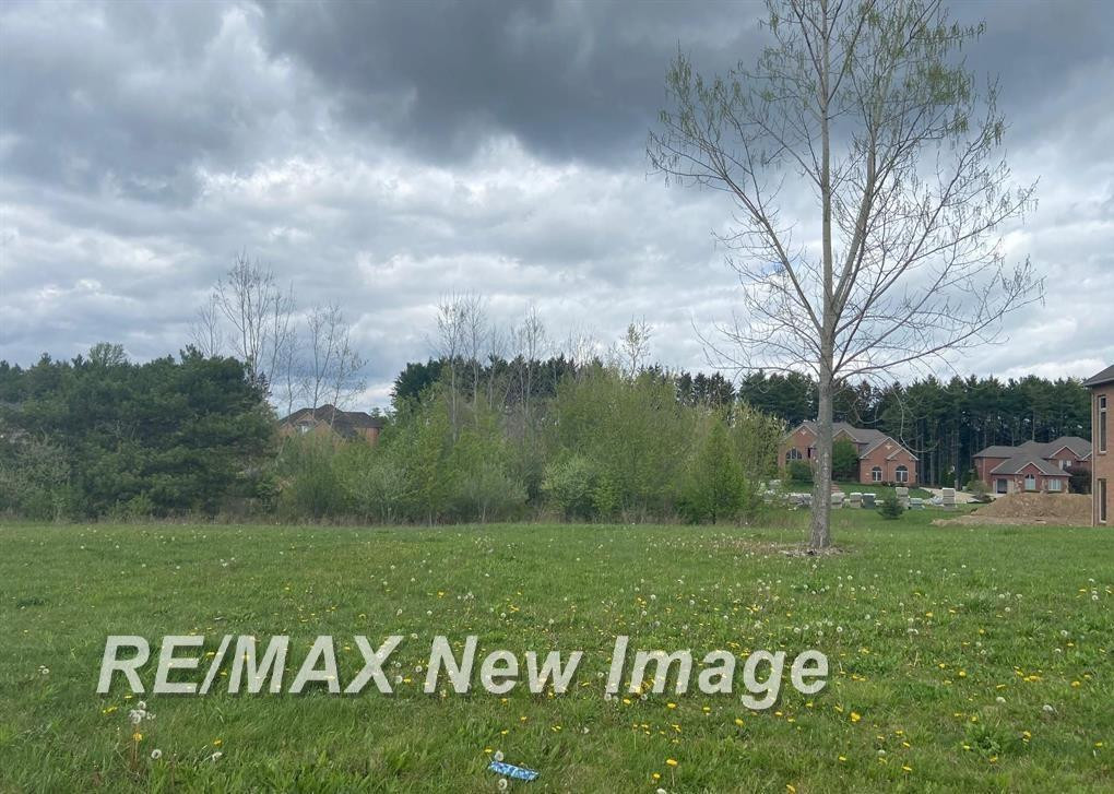 V/L Rivershyre Parkway, Davison, MI 48423 — front exterior