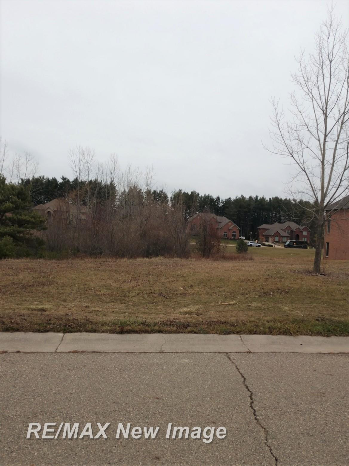 V/L Rivershyre Parkway, Davison, MI 48423 — Photo 2