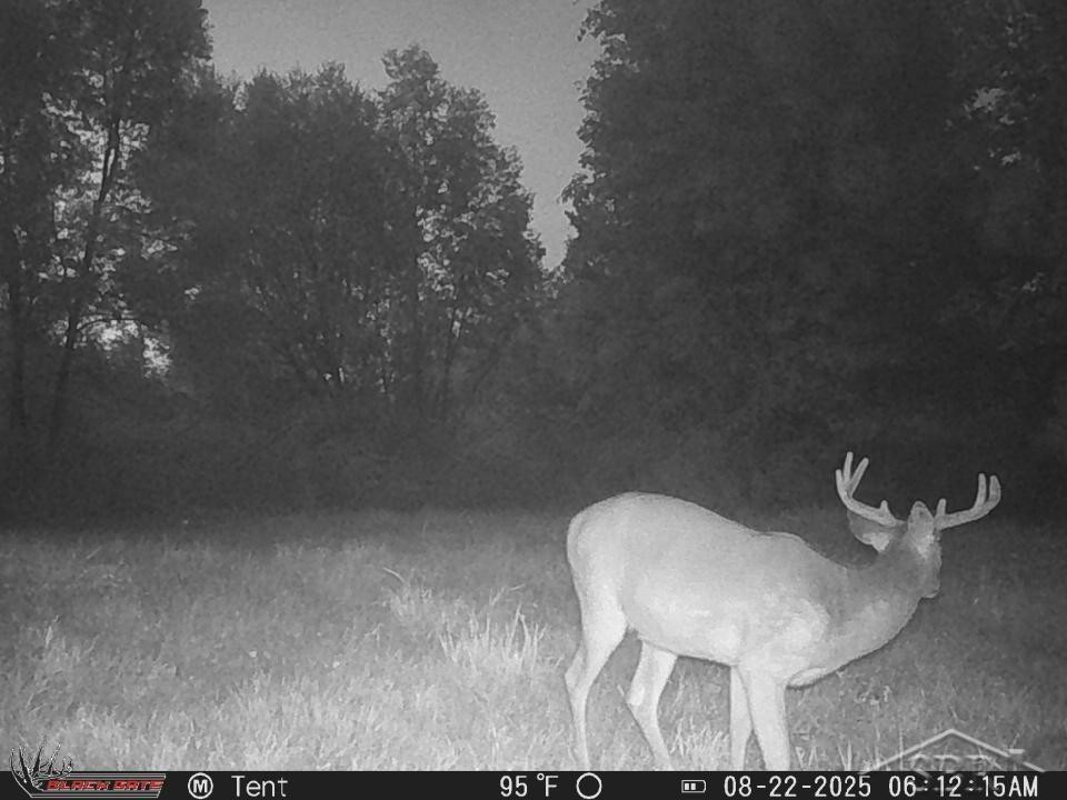 247 N Five Mile Road, Midland, MI 48640 — Photo 32