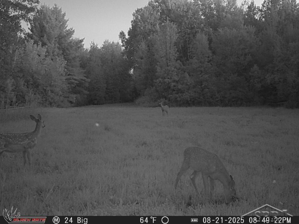 247 N Five Mile Road, Midland, MI 48640 — Photo 33