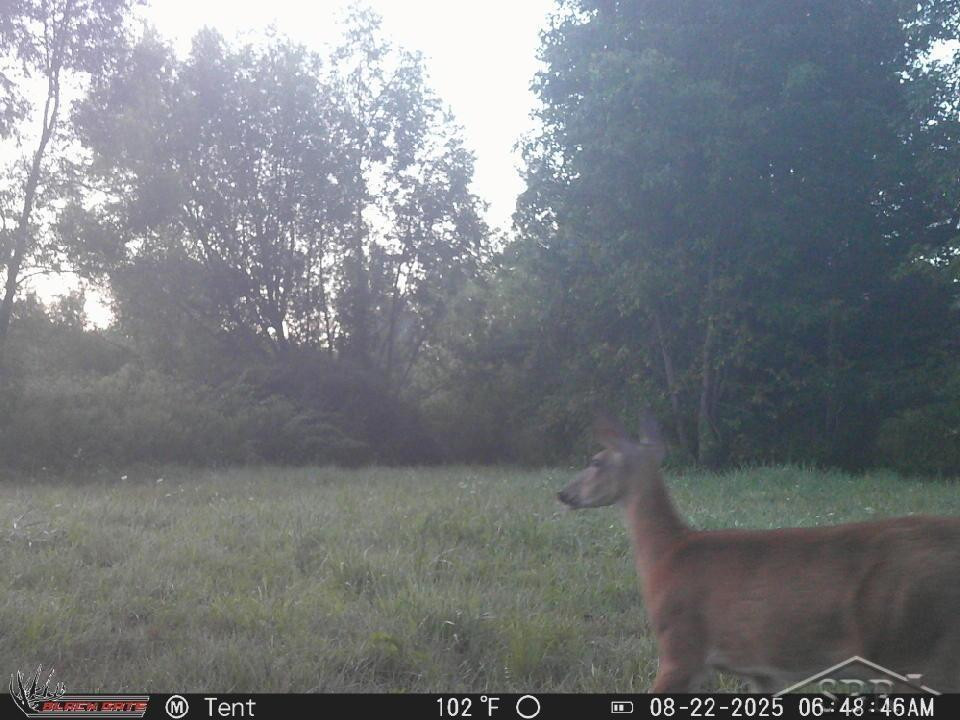 247 N Five Mile Road, Midland, MI 48640 — Photo 34