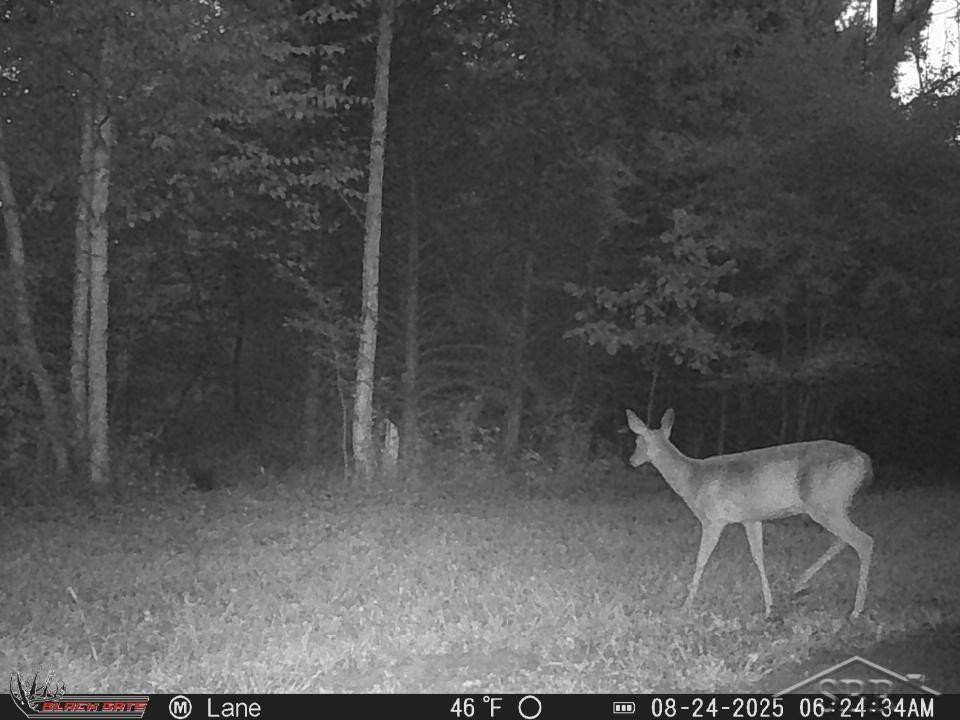 247 N Five Mile Road, Midland, MI 48640 — Photo 35