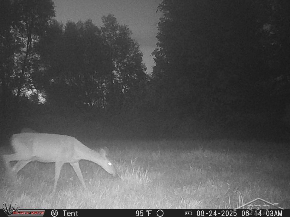 247 N Five Mile Road, Midland, MI 48640 — Photo 36
