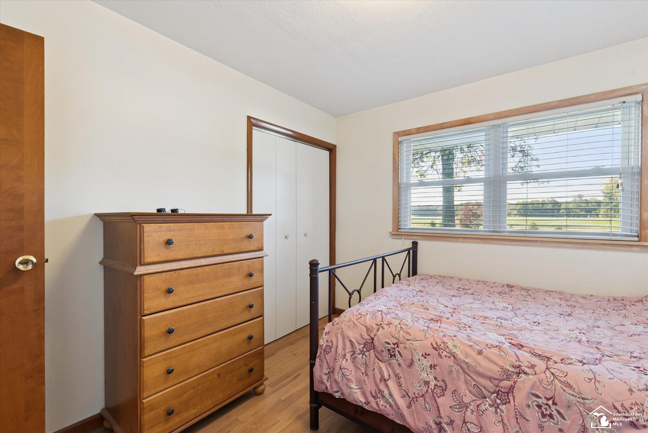 15006 IDA WEST Road, Petersburg, MI 49270 — Photo 18