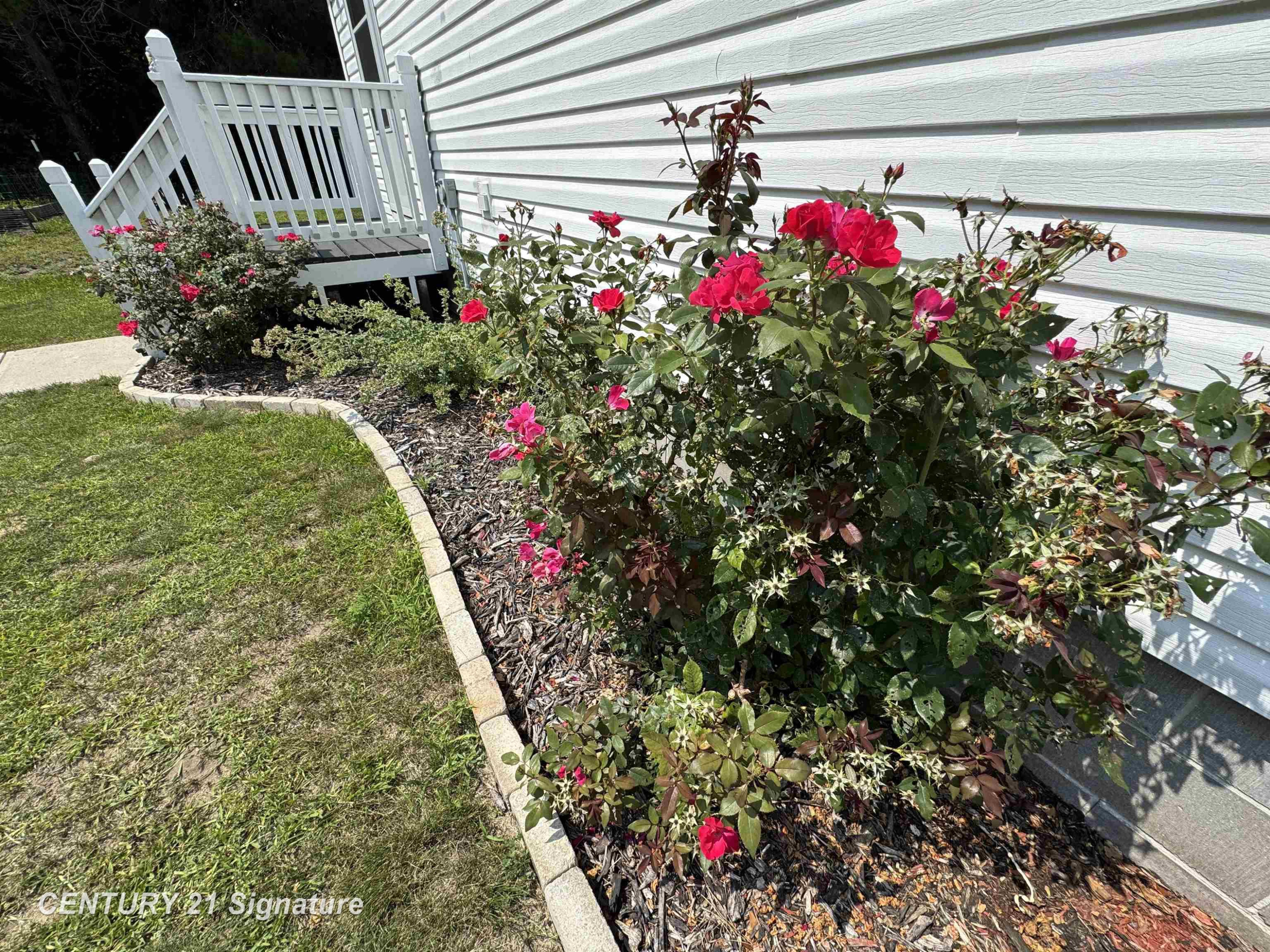 5477 S Townline Road, Sterling, MI 48659 — Photo 5