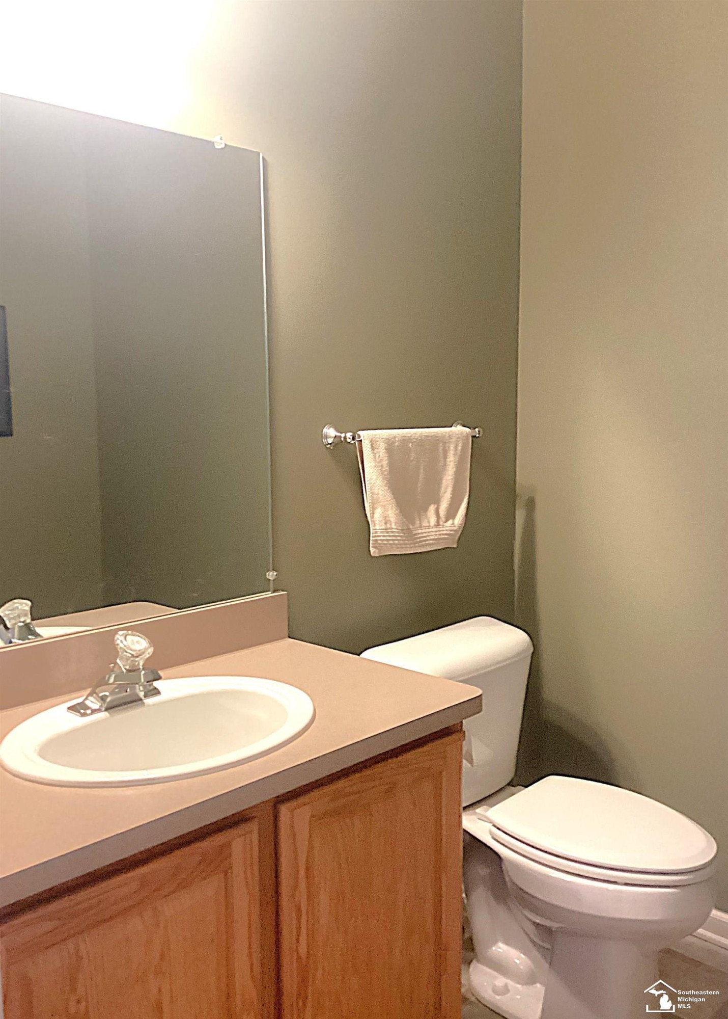 209 Dundee Ridge Drive, Dundee, MI 48131 — Photo 22