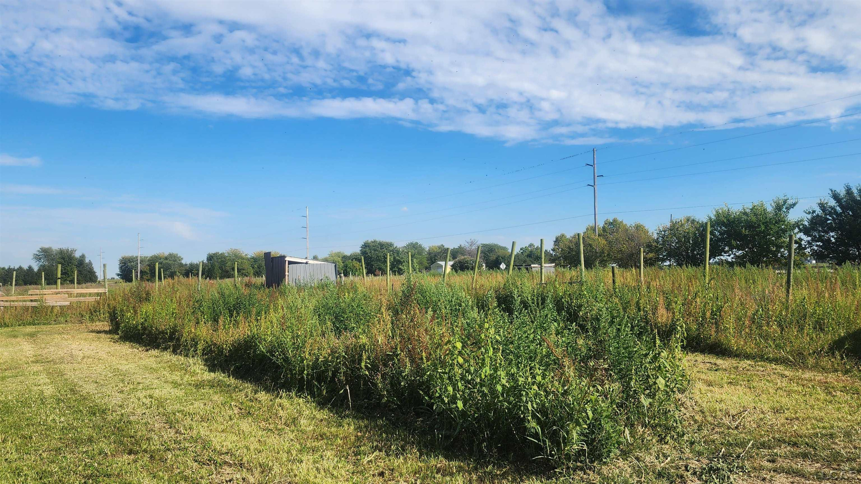 6971 Riga Highway, Blissfield, MI 49228 — Photo 43
