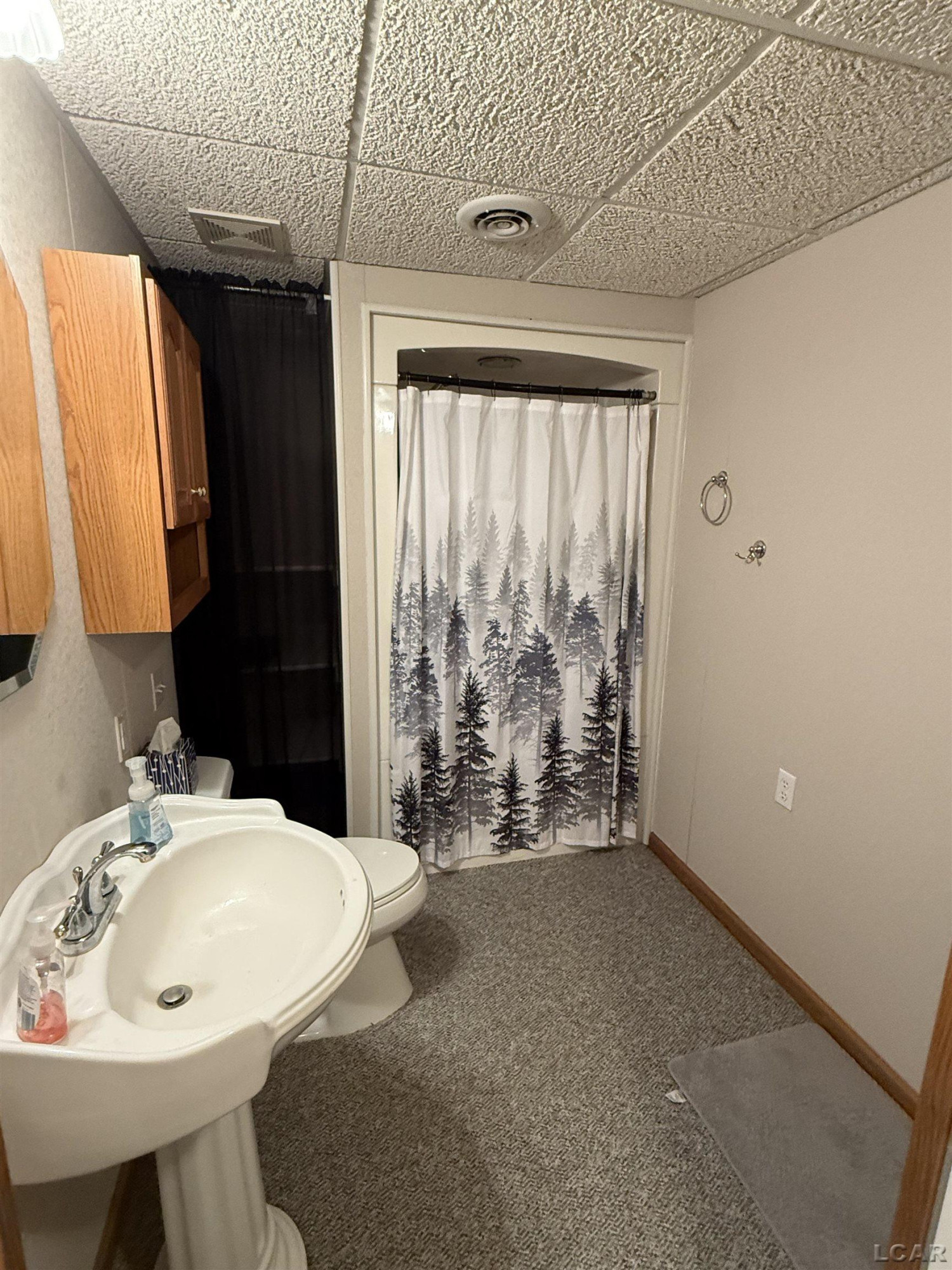 802 Lakewood Drive, Adrian, MI 49221 — Photo 20