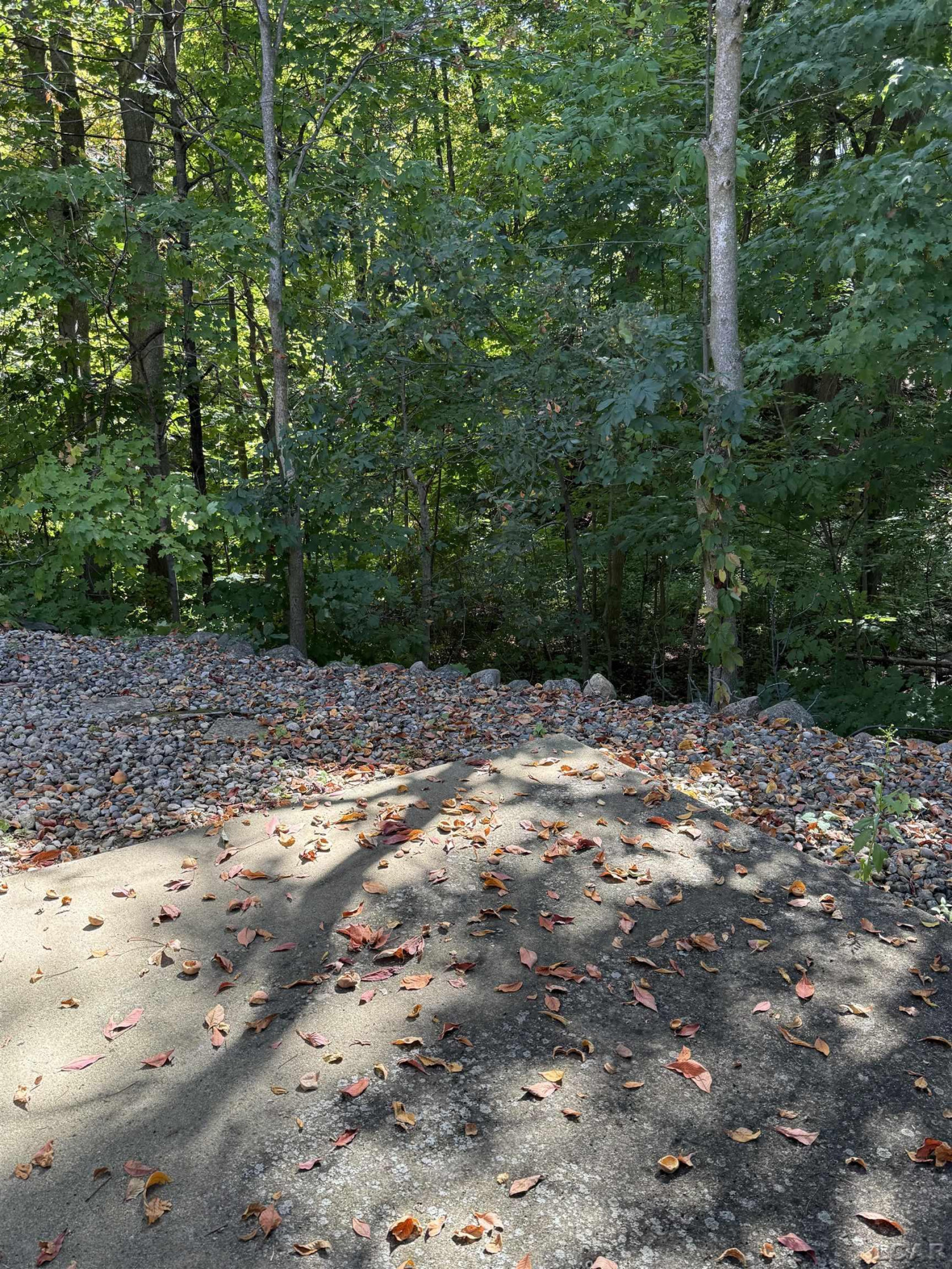 802 Lakewood Drive, Adrian, MI 49221 — Photo 24