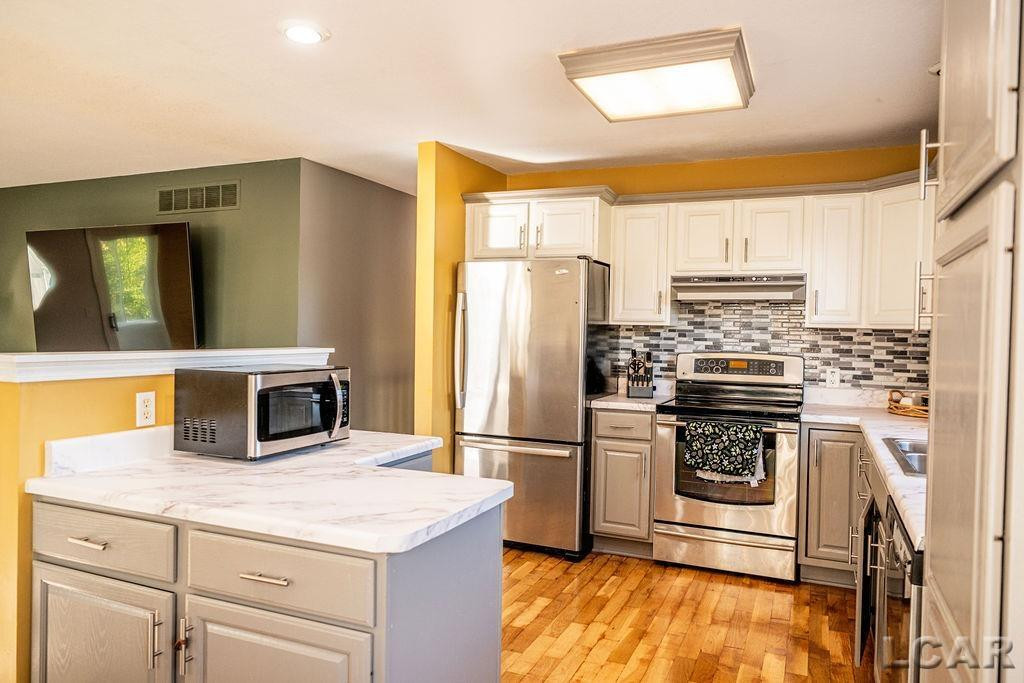 10440 Connemara Circle, Cement City, MI 49233 — Photo 12