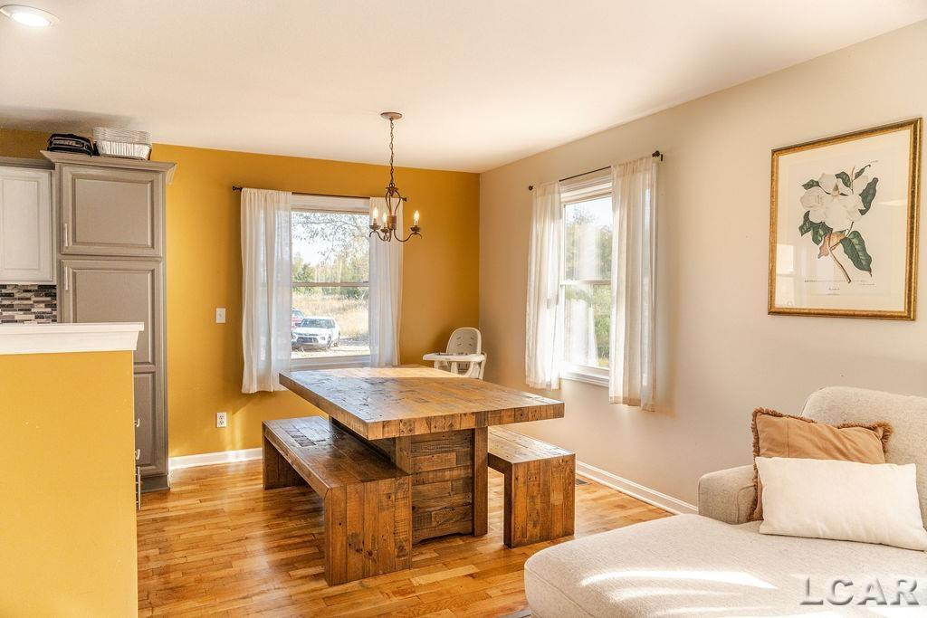 10440 Connemara Circle, Cement City, MI 49233 — Photo 16