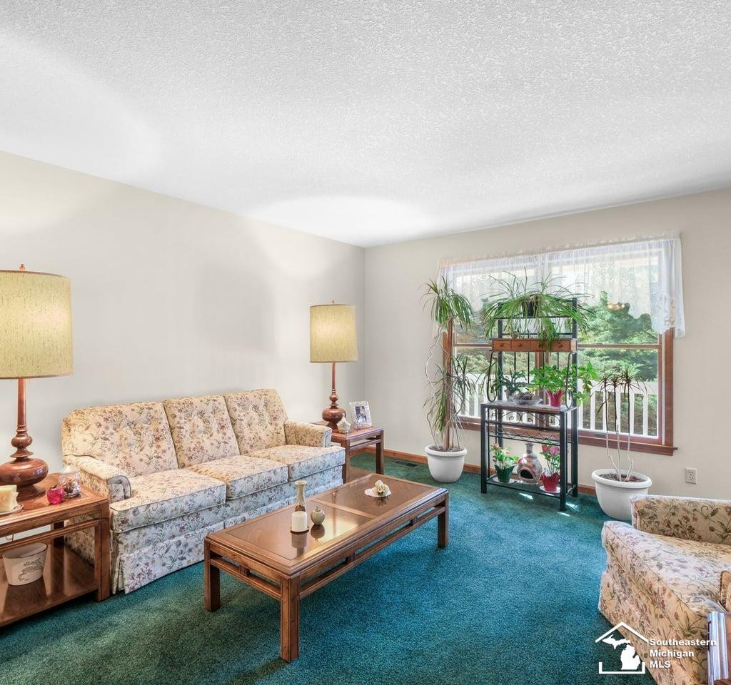4265 Teal Road, Petersburg, MI 49270 — Photo 9