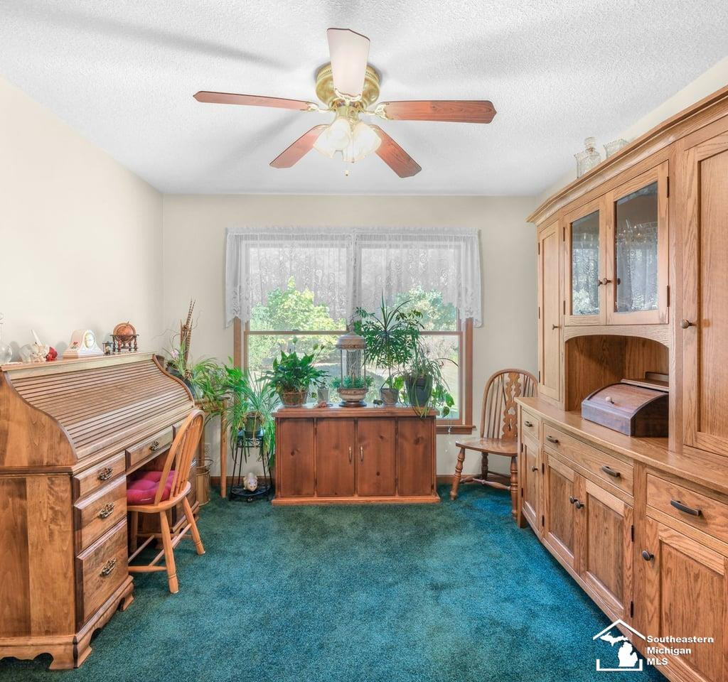 4265 Teal Road, Petersburg, MI 49270 — Photo 11