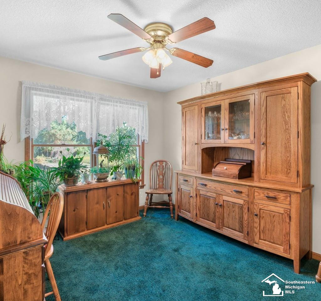 4265 Teal Road, Petersburg, MI 49270 — Photo 12