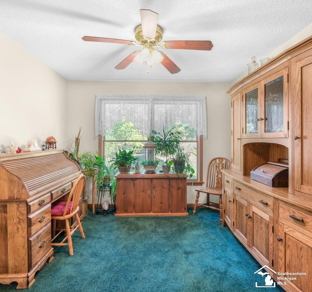 4265 Teal Road, Petersburg, MI 49270 — Photo 13