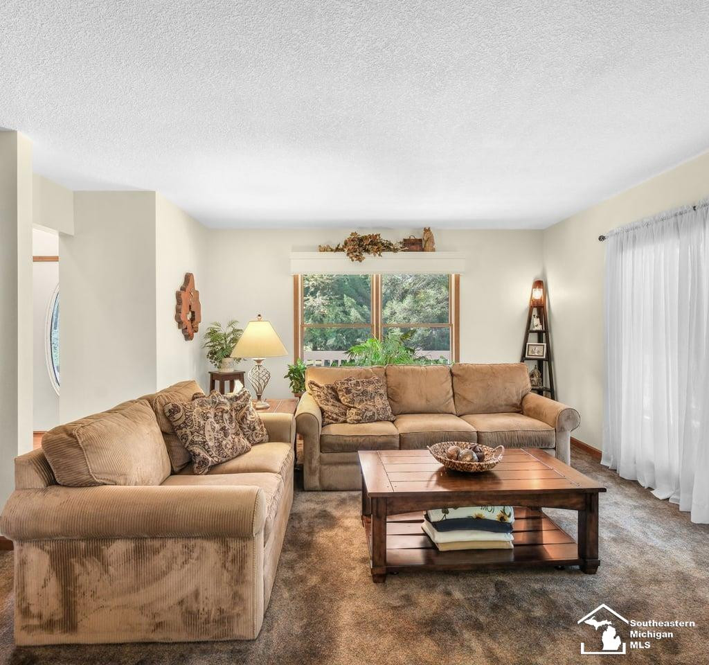 4265 Teal Road, Petersburg, MI 49270 — Photo 19