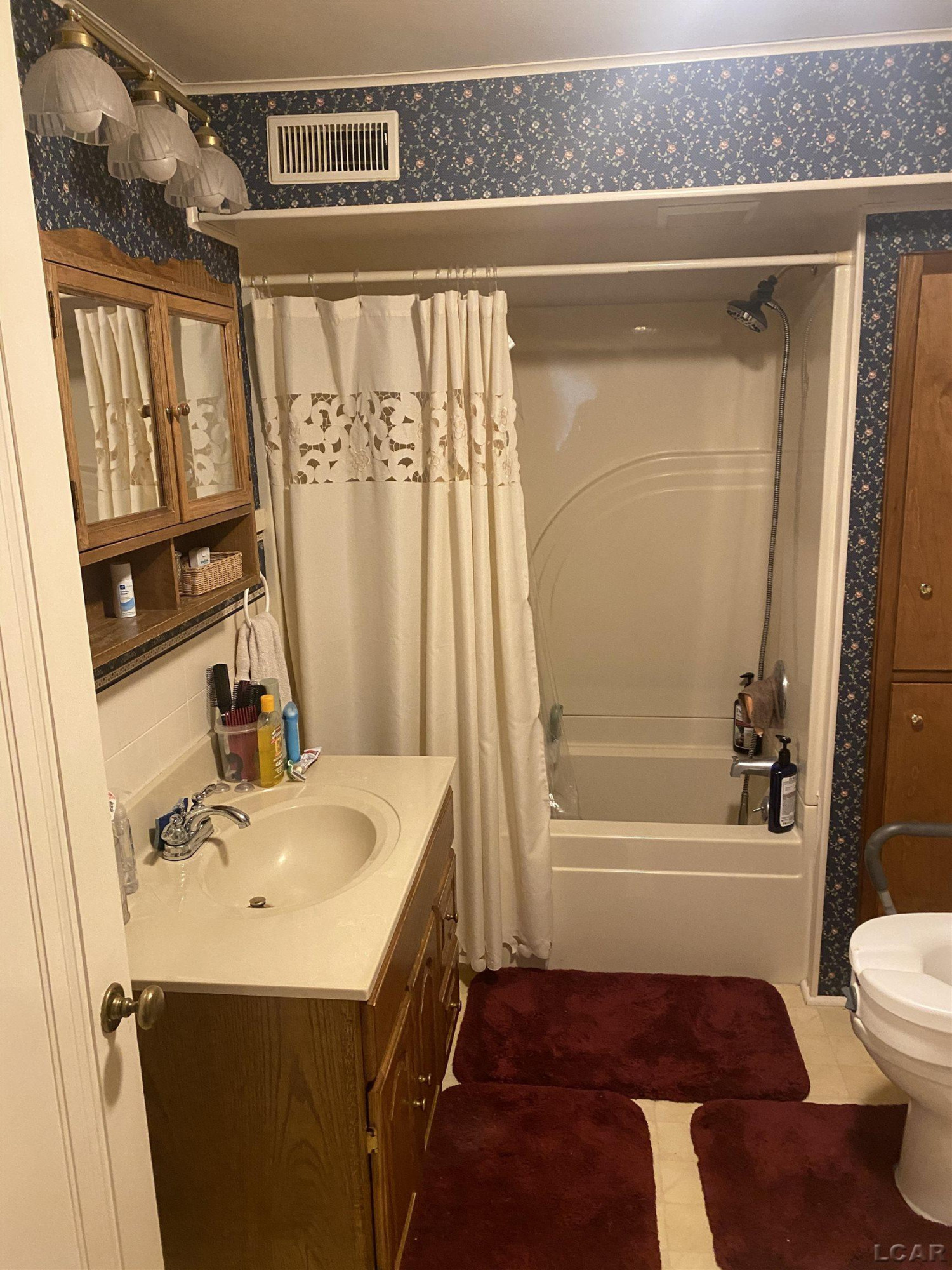 212 White Street, Blissfield, MI 49228 — Photo 8