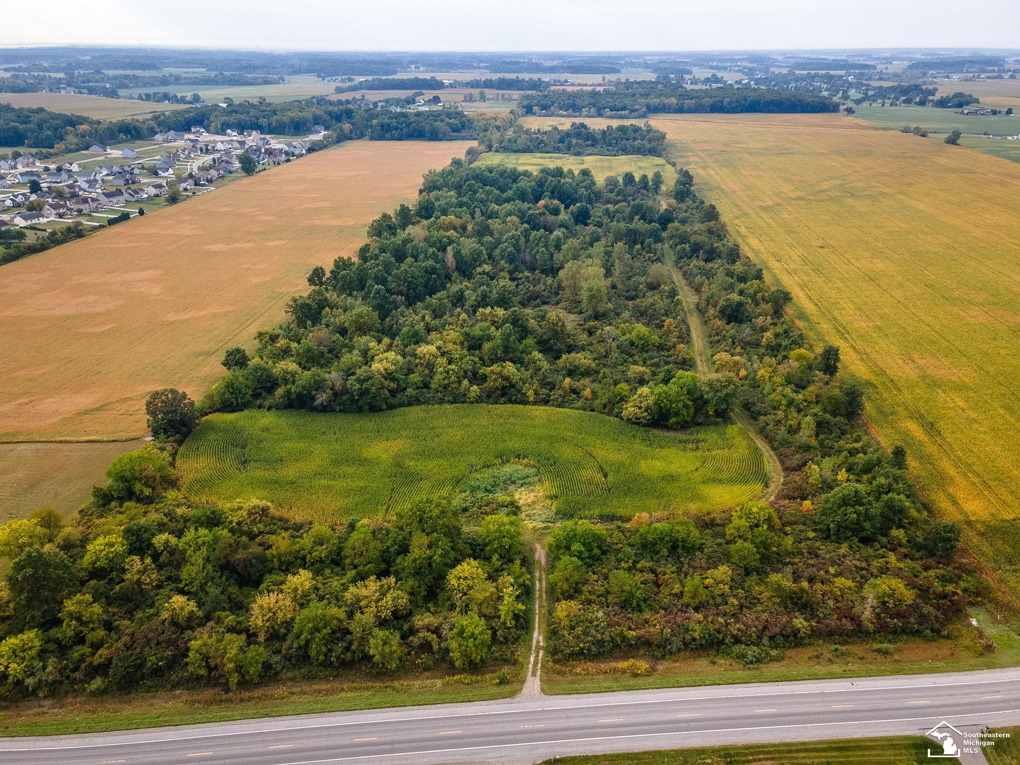 4555 S Custer Road, Monroe, MI 48161 — Photo 2