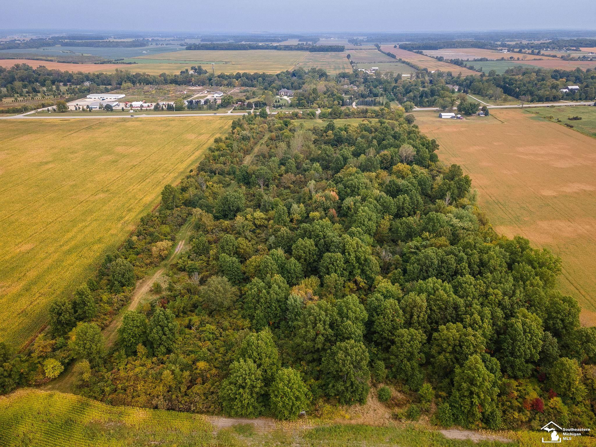 4555 S Custer Road, Monroe, MI 48161 — Photo 12