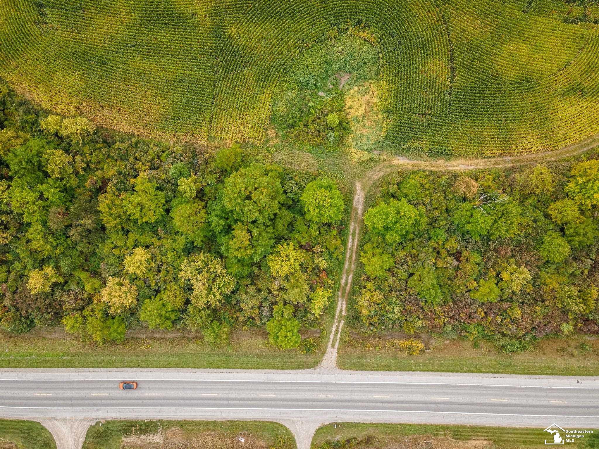 4555 S Custer Road, Monroe, MI 48161 — Photo 17