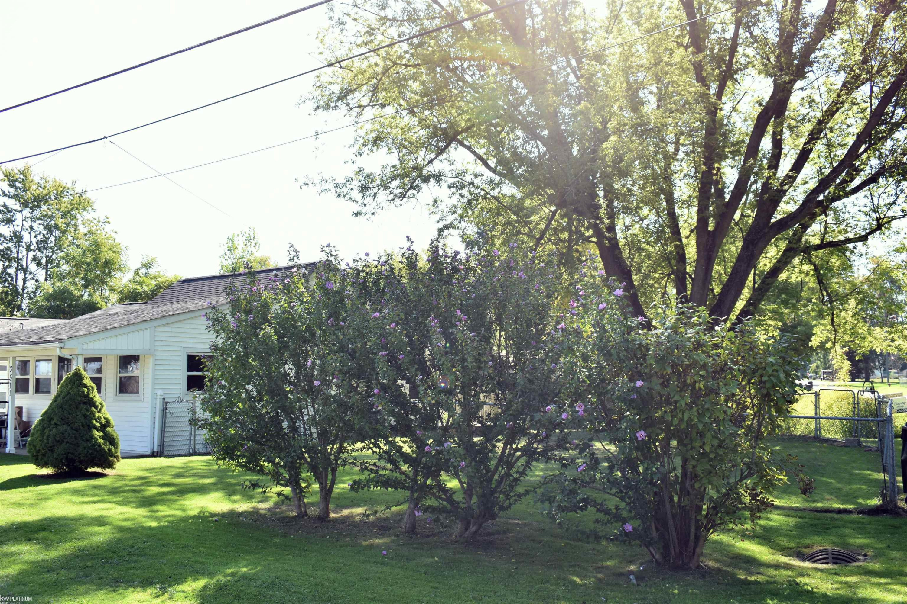 3511 Memoir Drive, MI 48059 — Photo 27