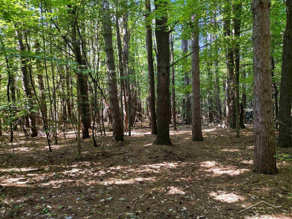 VL Sandy Ridge Drive, MI — Photo 9