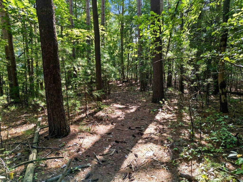 VL Sandy Ridge Drive, MI — Photo 11