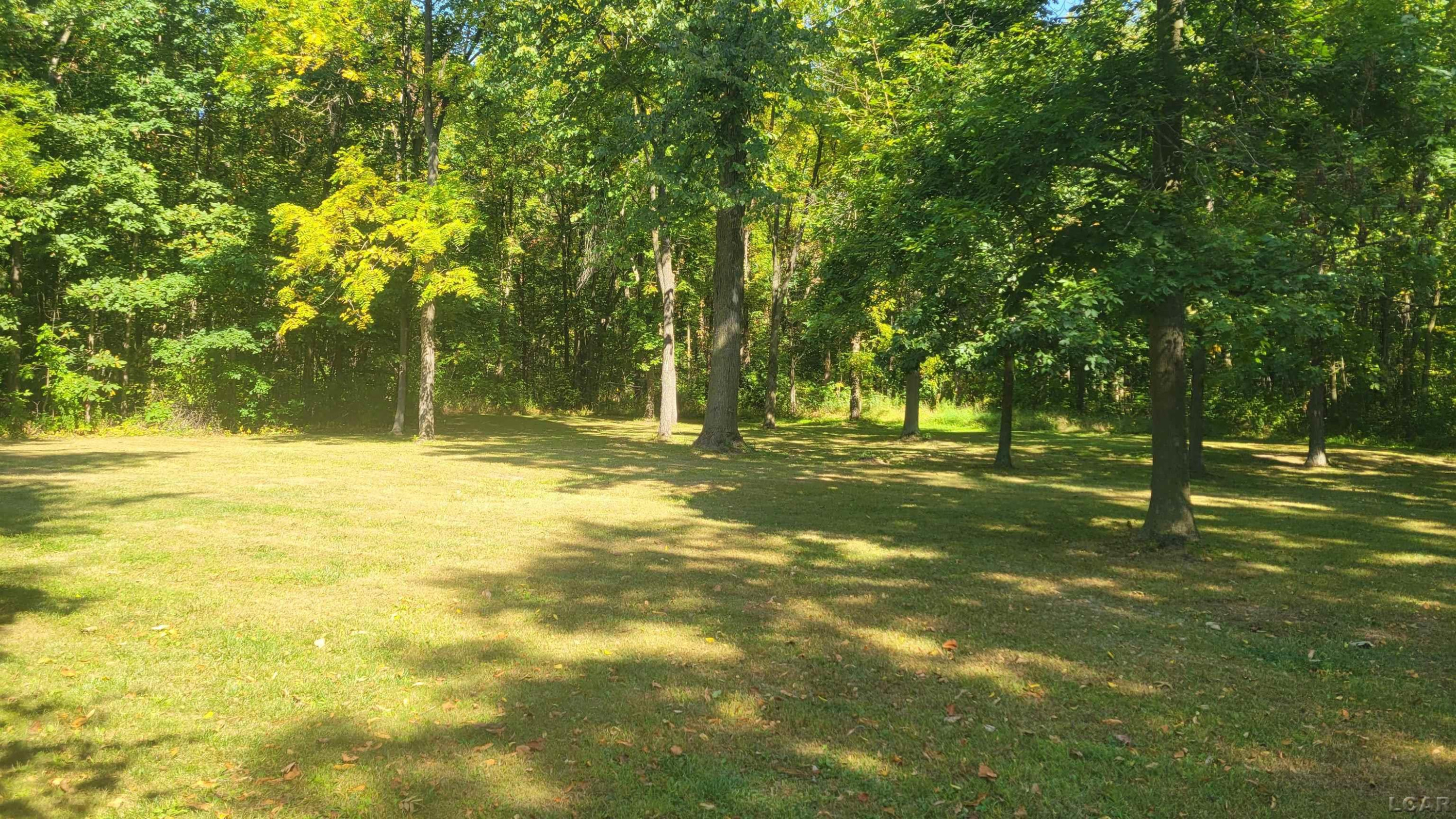 7540 W. Weston Road, Morenci, MI 49256 — Photo 7