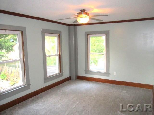 209 Oak Street Street, Hudson, MI 49247 — Photo 18