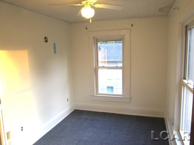 209 Oak Street Street, Hudson, MI 49247 — Photo 20