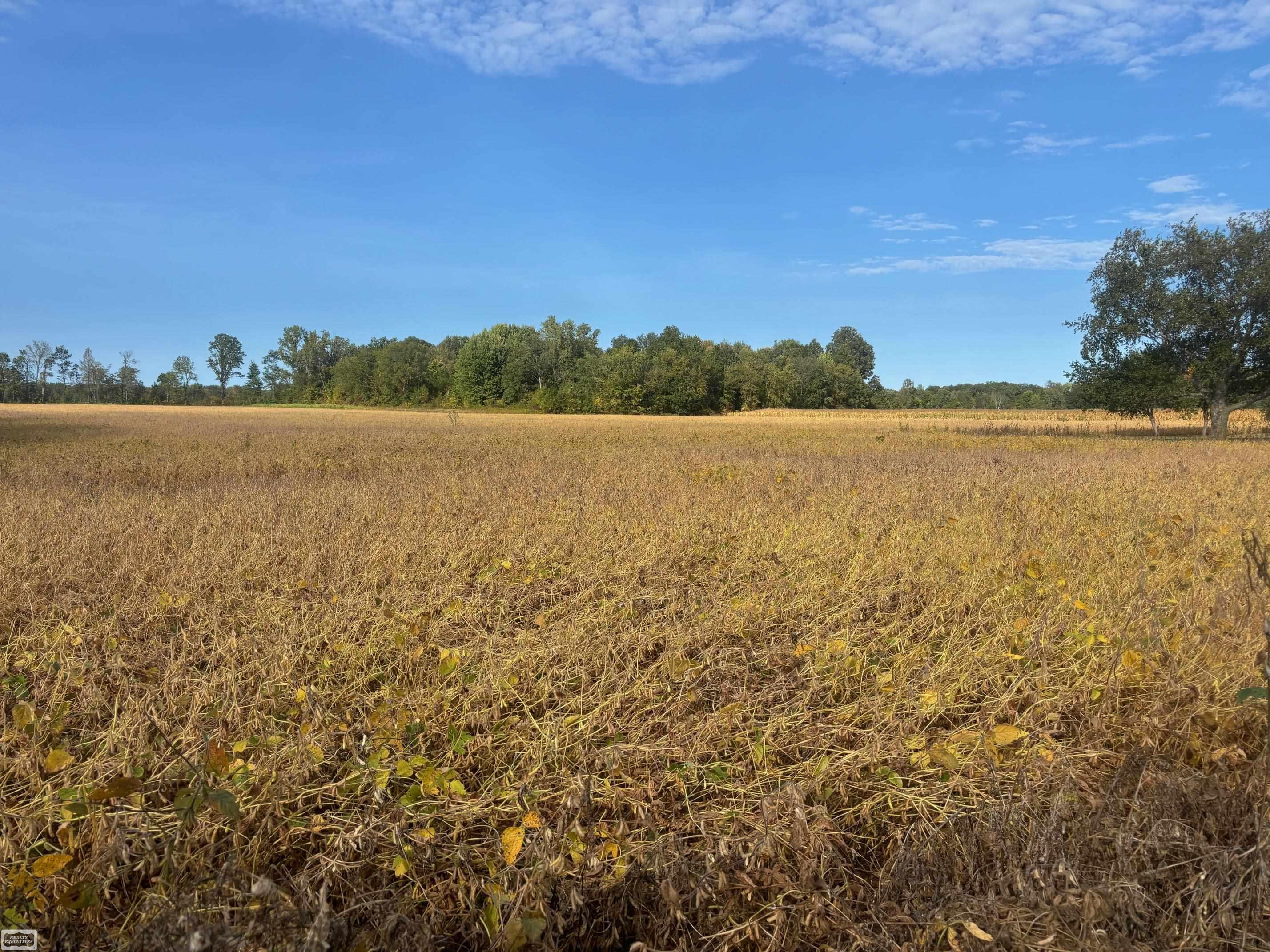 4452 Cole Road, MI 48059