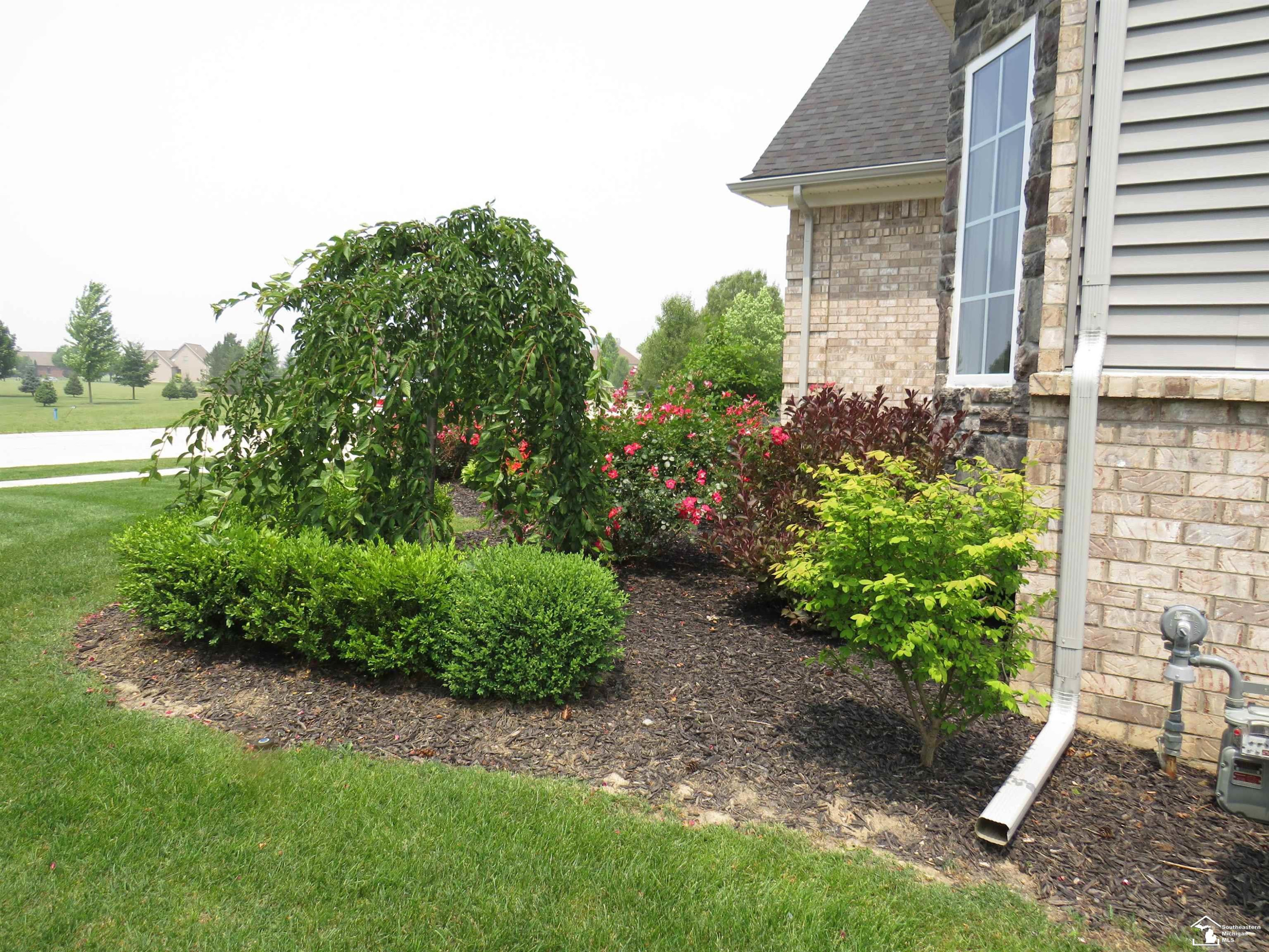 465 Corinth Circle, Dundee, MI 48131 — Photo 14