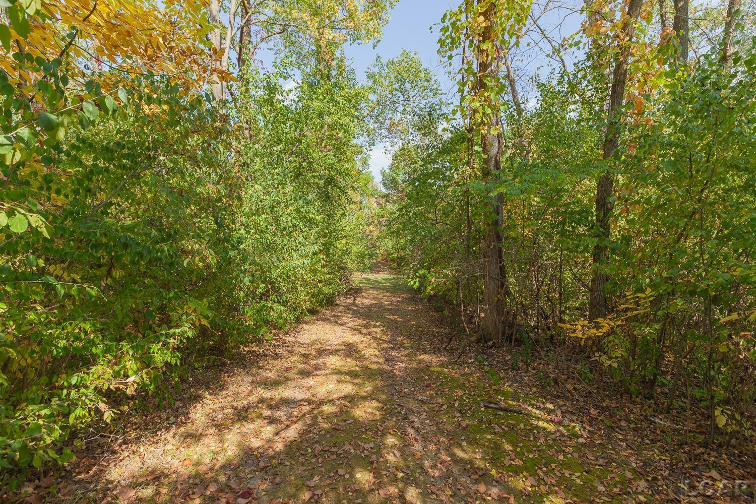 6070 Clinton Macon Road, Clinton, MI 49236 — Photo 45