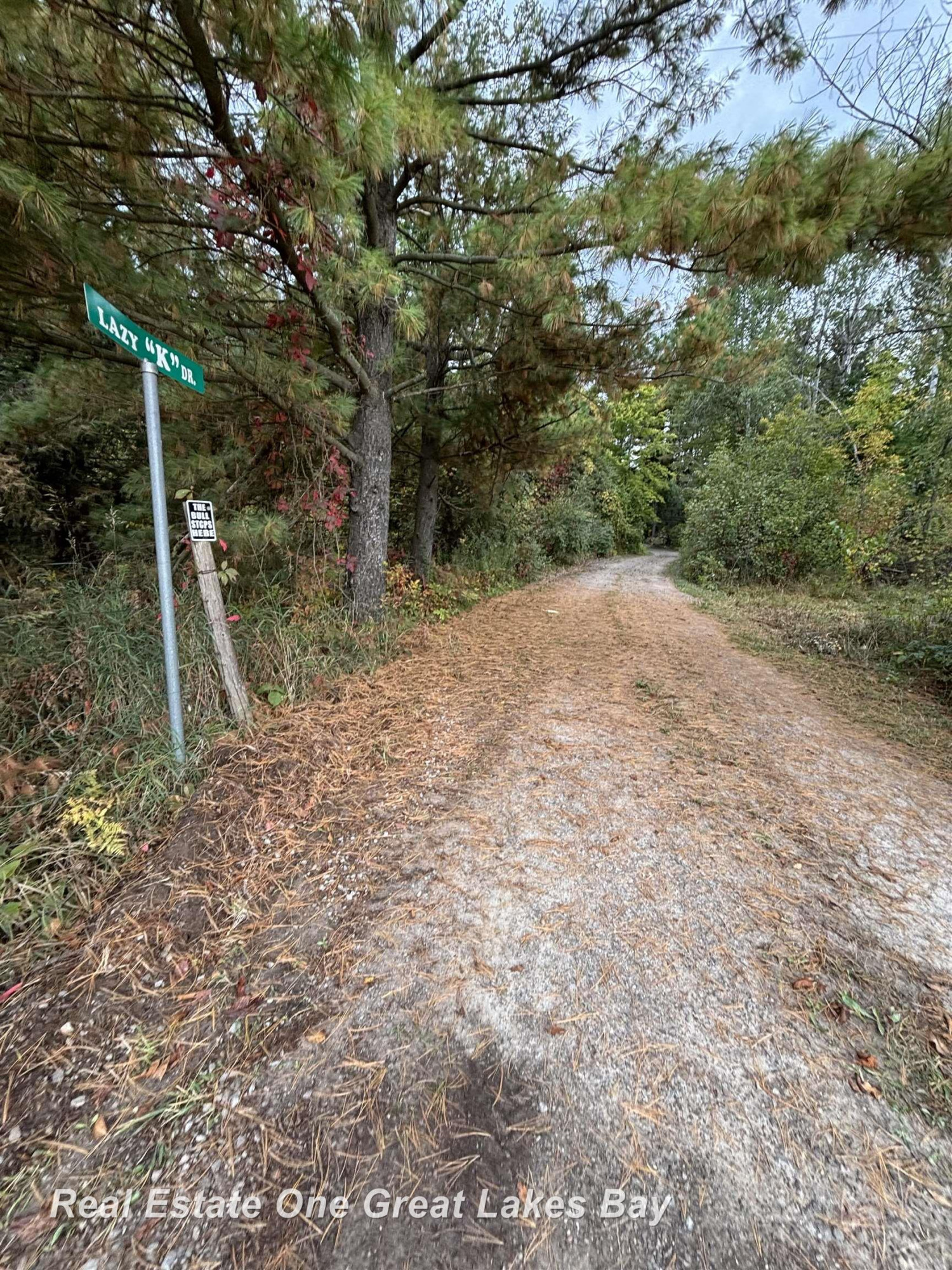 3702 W Berry Road, Sterling, MI 48659 — Photo 23