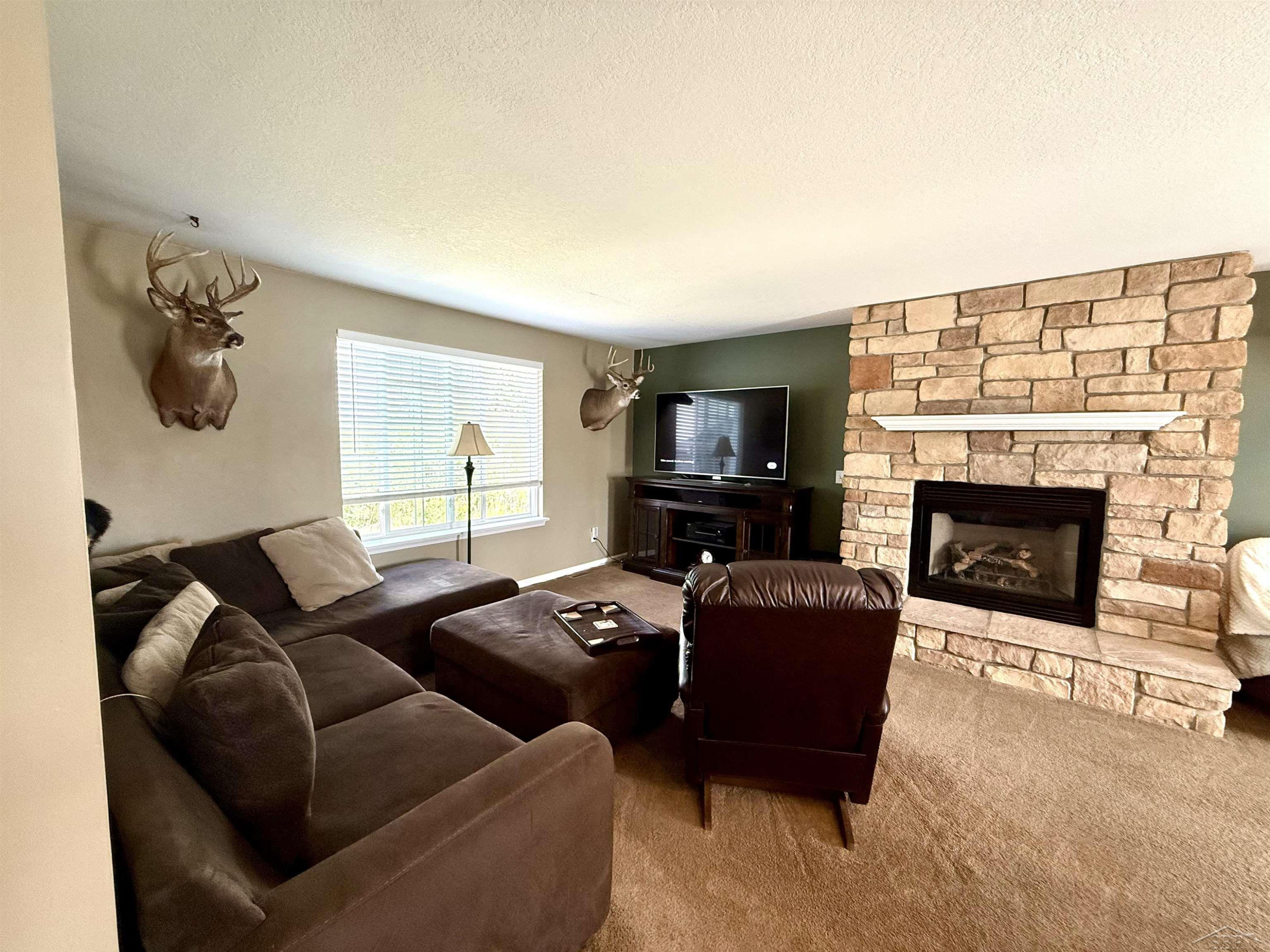 4506 E Millbrook Road, Mount Pleasant, MI 48858 — Photo 4