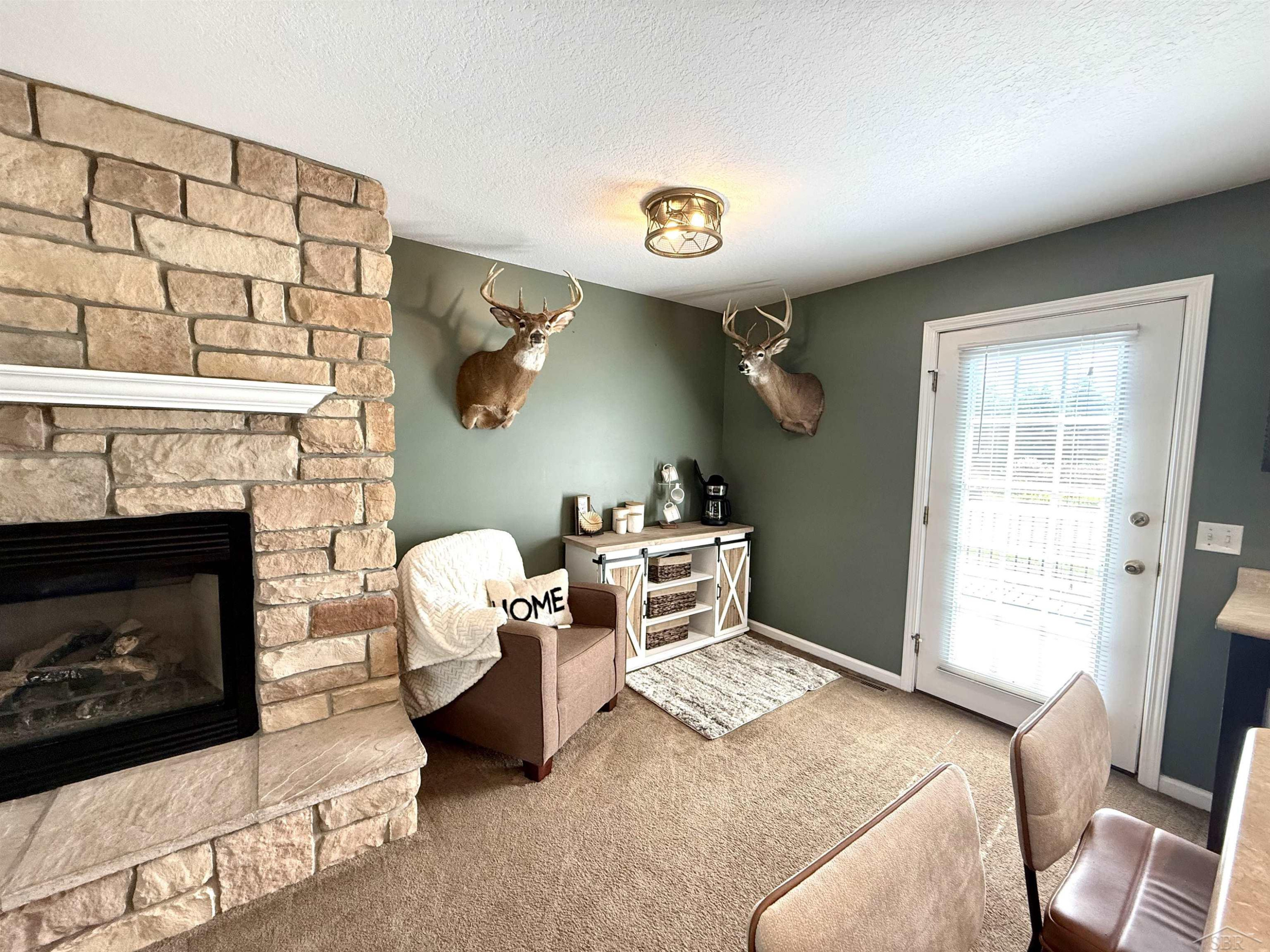 4506 E Millbrook Road, Mount Pleasant, MI 48858 — Photo 6