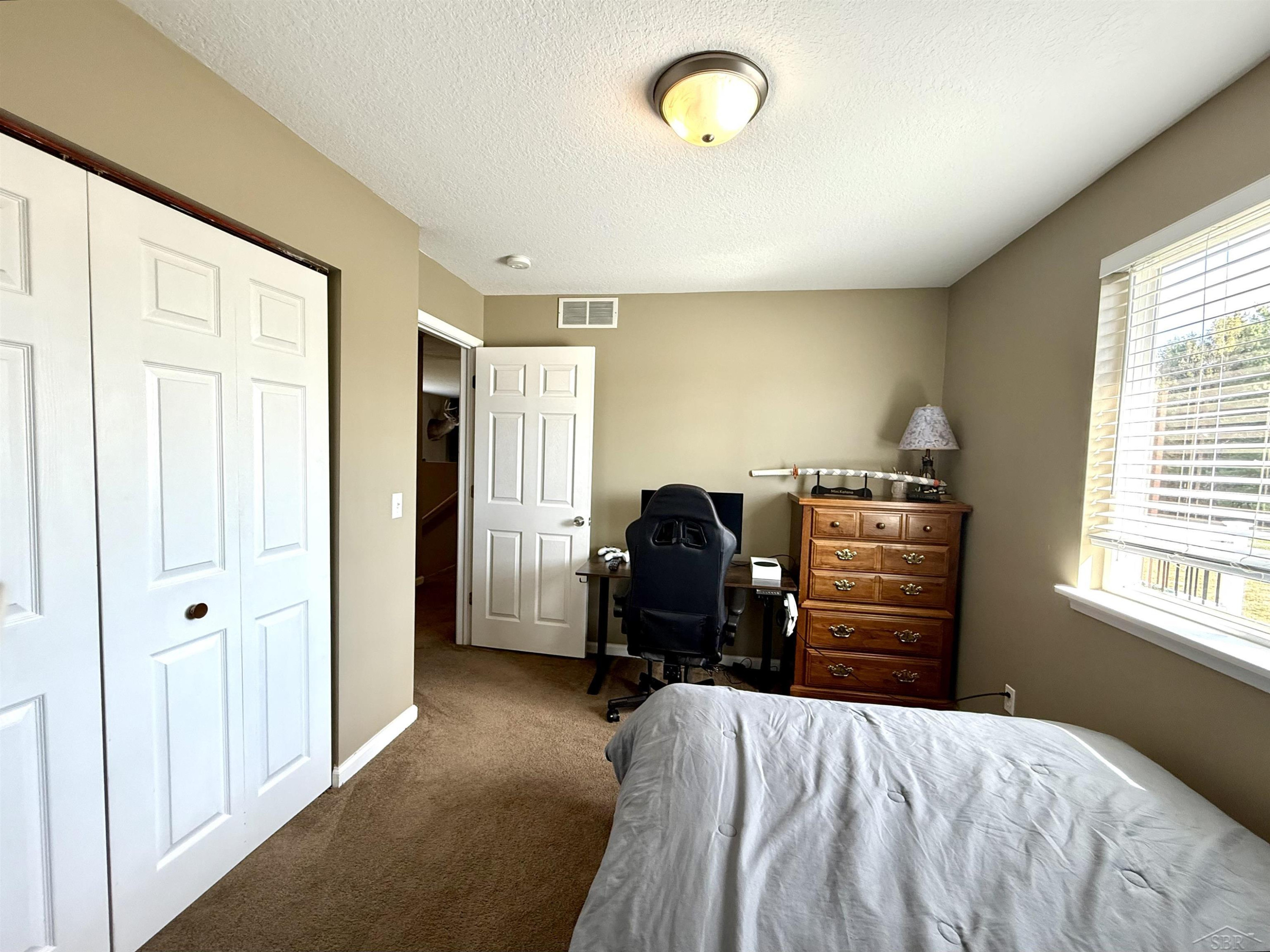 4506 E Millbrook Road, Mount Pleasant, MI 48858 — Photo 14