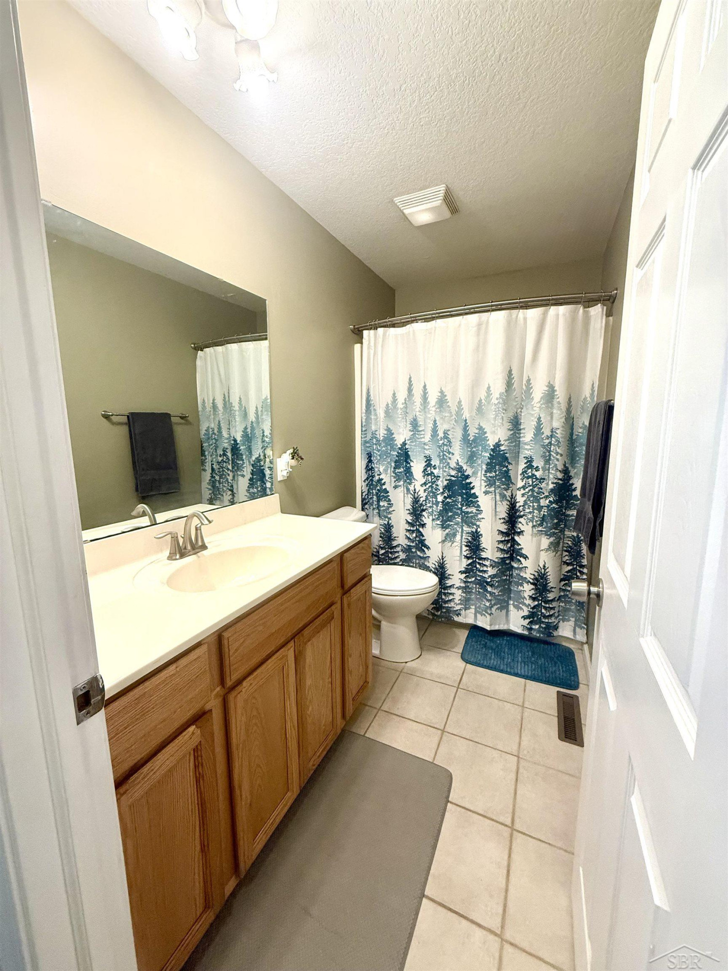 4506 E Millbrook Road, Mount Pleasant, MI 48858 — Photo 17