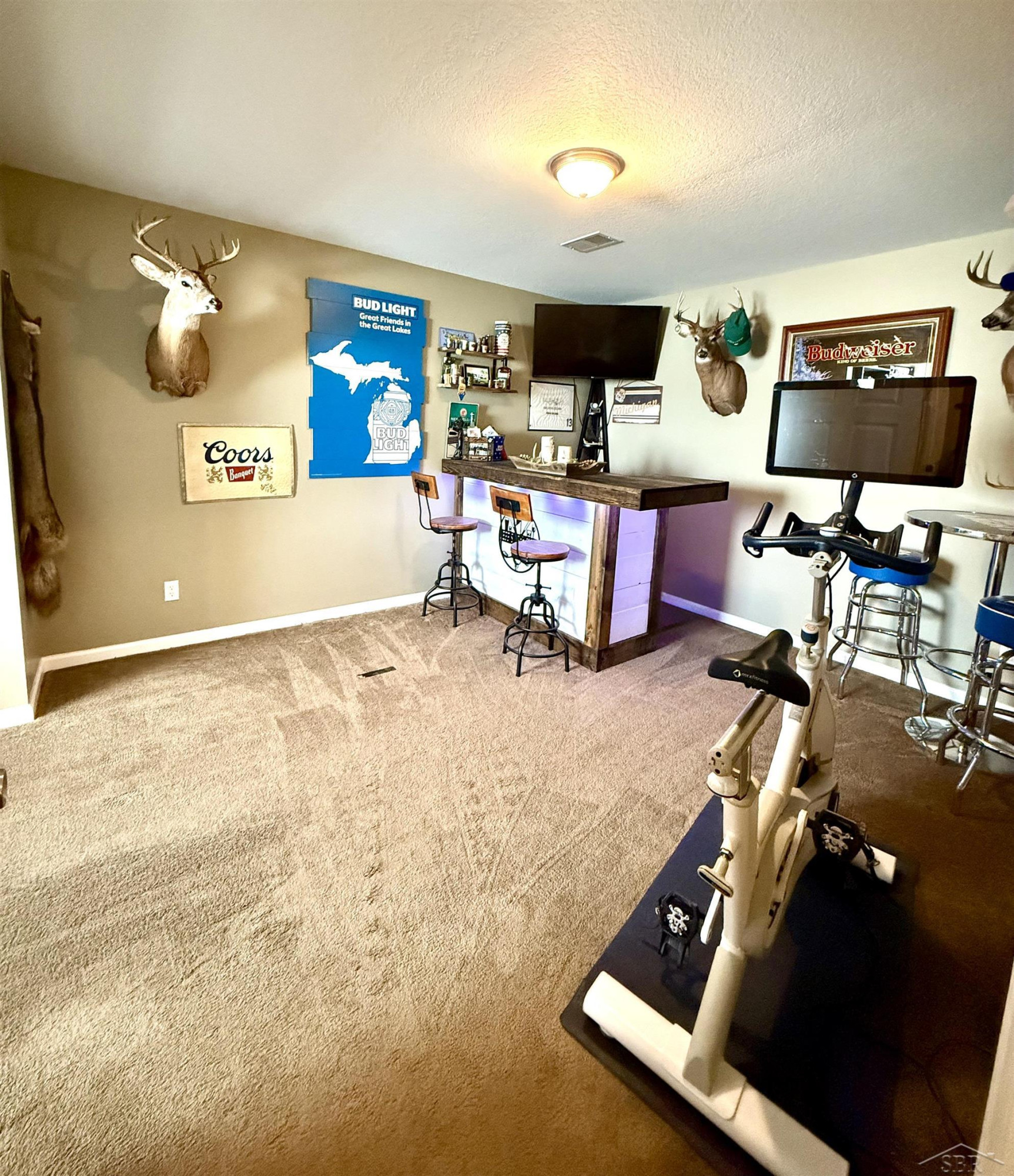 4506 E Millbrook Road, Mount Pleasant, MI 48858 — Photo 18