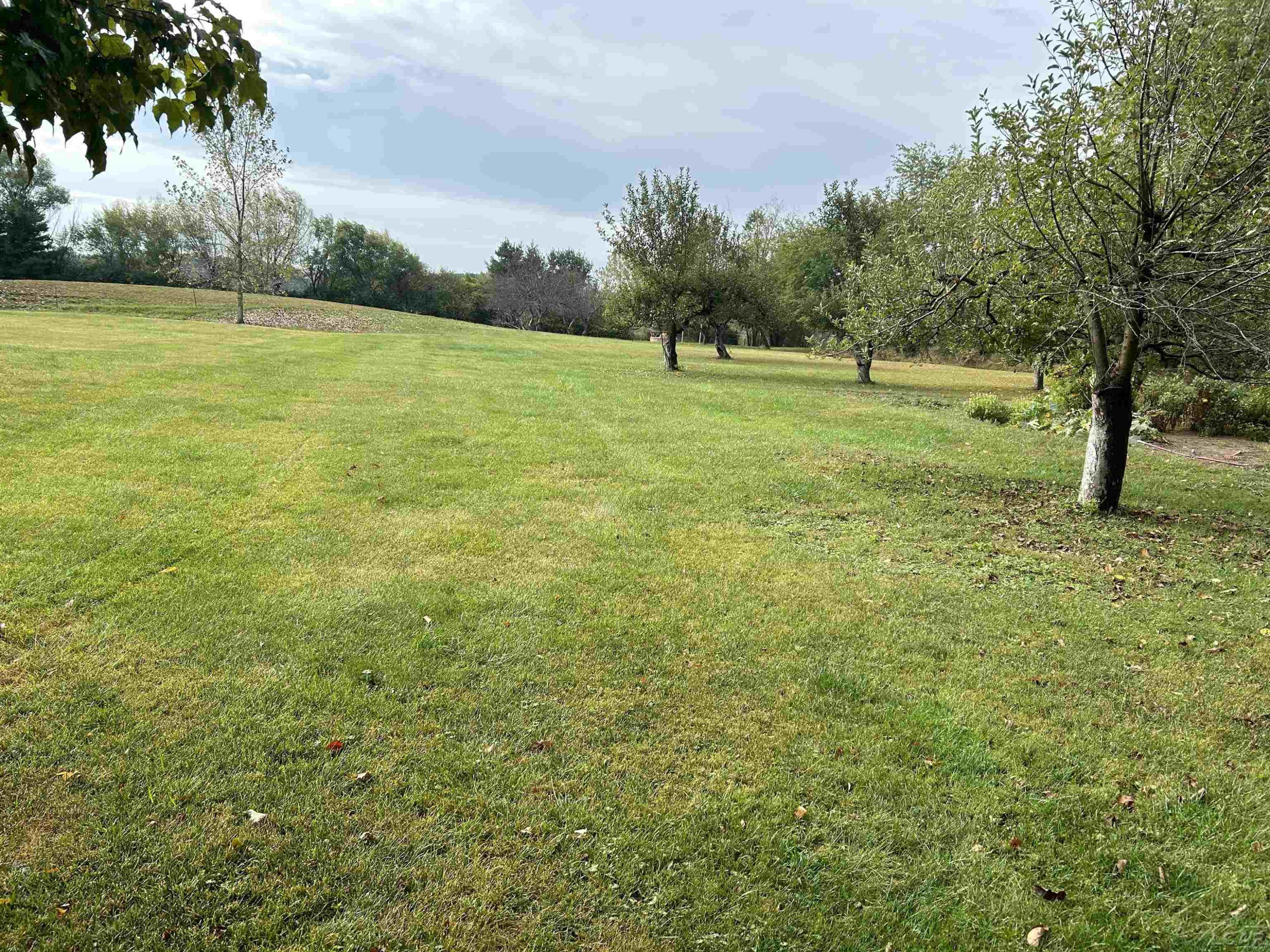 11639 Beecher Road, Clayton, MI 49235 — Photo 3
