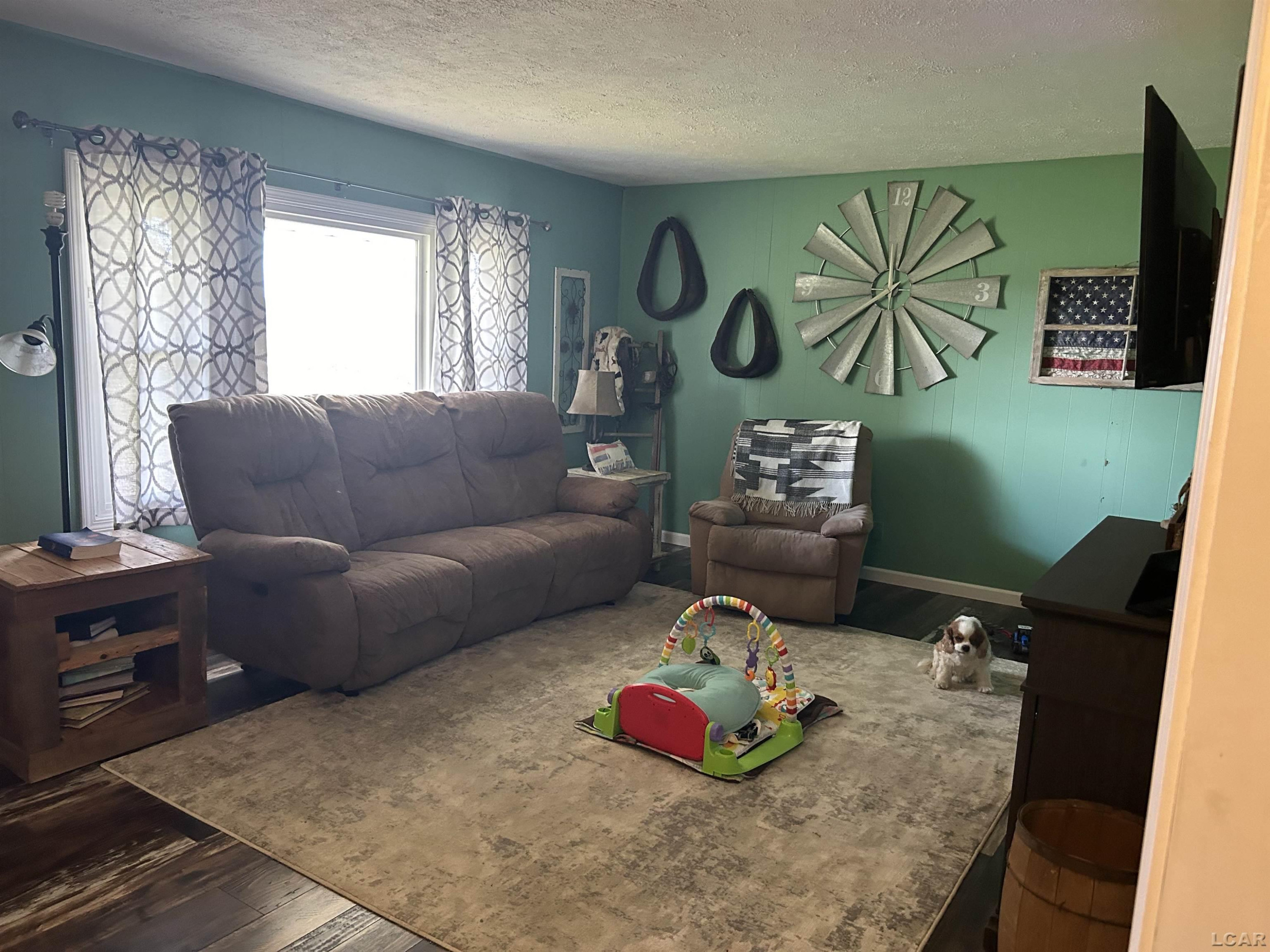 11639 Beecher Road, Clayton, MI 49235 — Photo 9