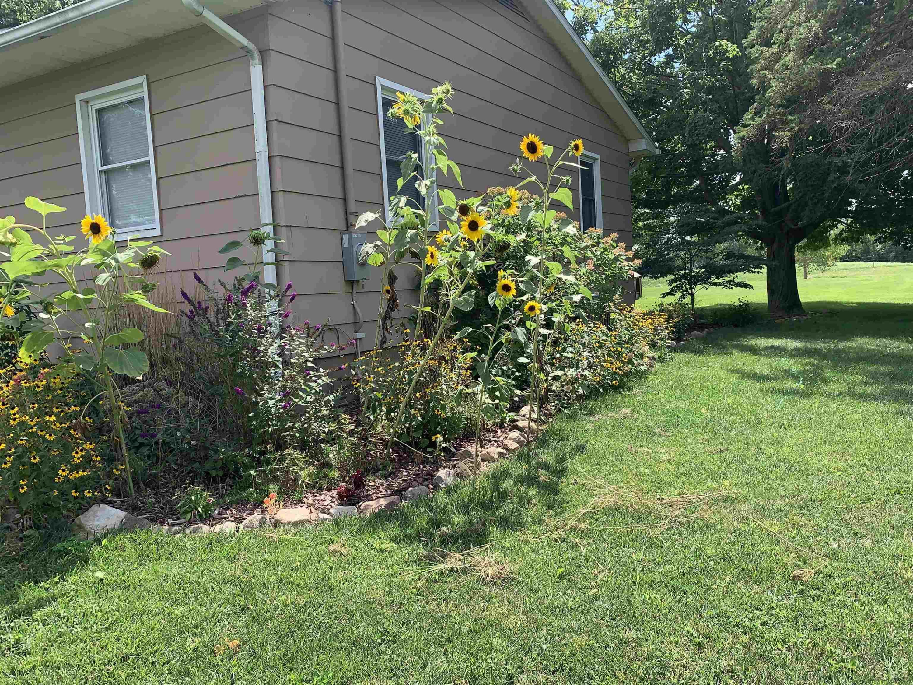 11639 Beecher Road, Clayton, MI 49235 — Photo 26
