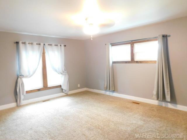 401 E Mill Street, Capac, MI 48014 — Photo 14